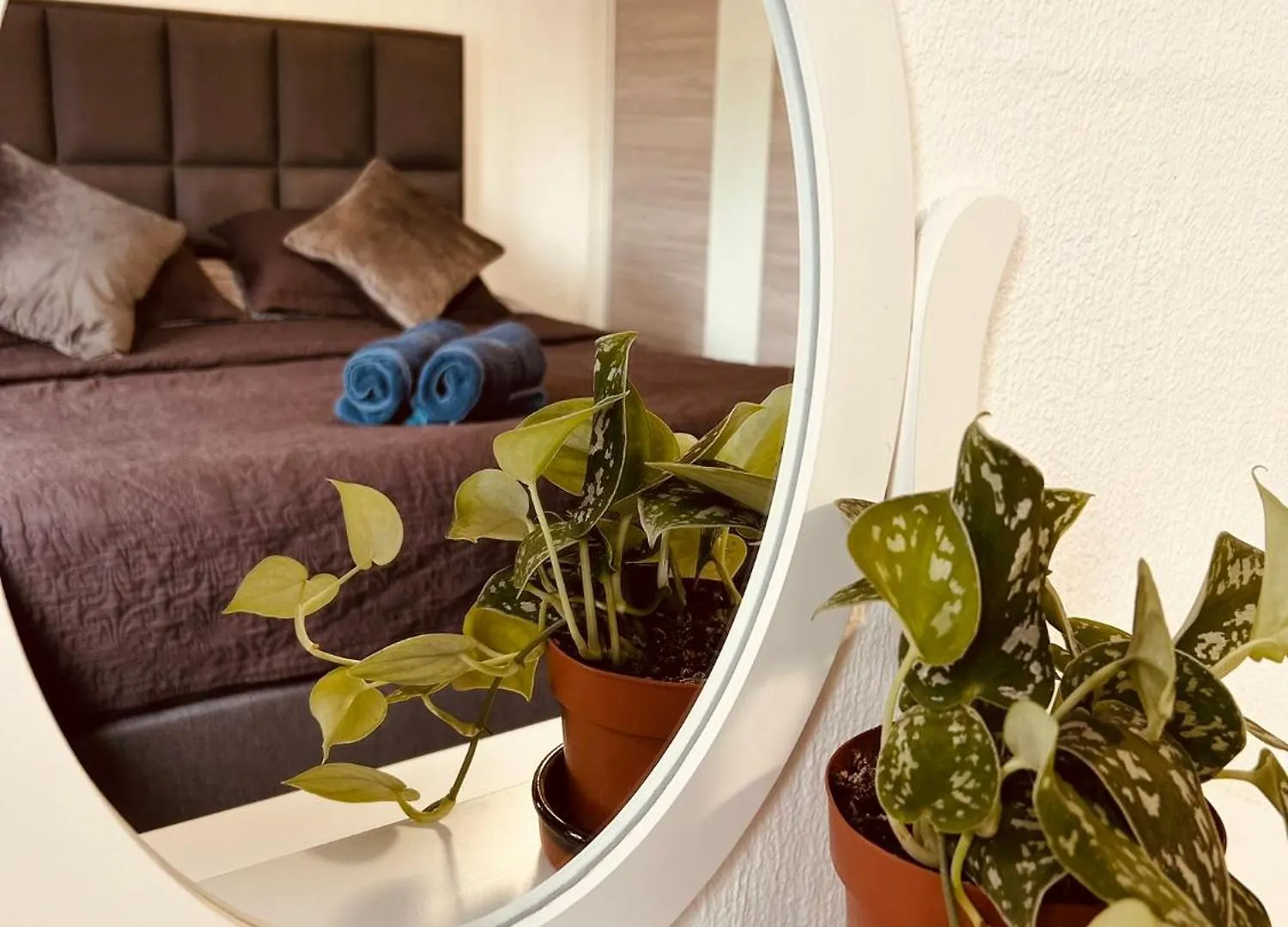 Bed & Breakfast B&B Prachtig Allemachtig Valkenburg aan de Geul